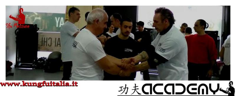 Stage di Wing Chun Kung Fu Frosinone Accademia di Wing Tjun Caserta Italia di Sifu Mezzone (28)